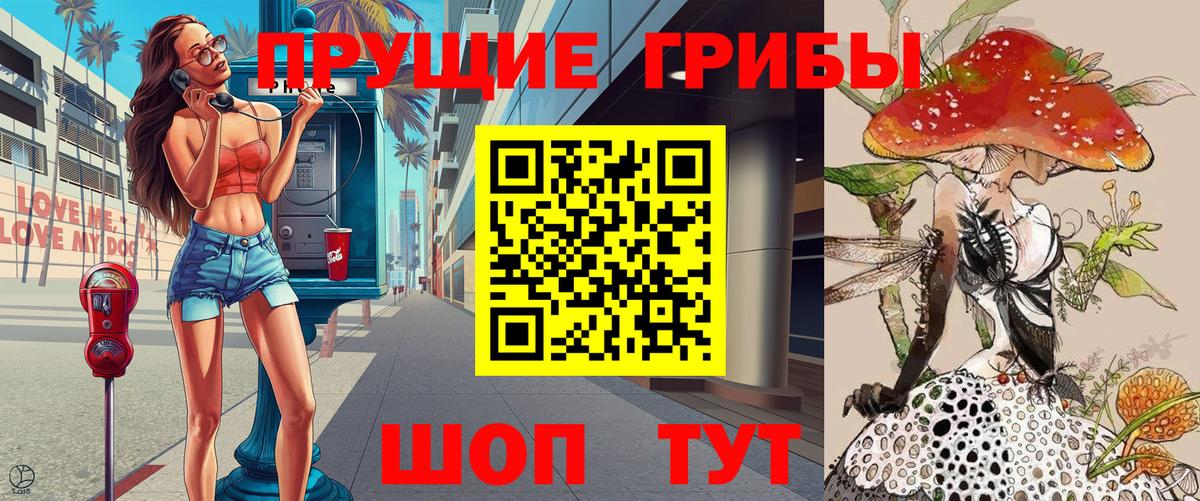 Галлюциногенные грибы GOLDEN TEACHER  Вход с VPN  хочу   Галлюциногенные грибы GOLDEN TEACHER  Чайковский 
