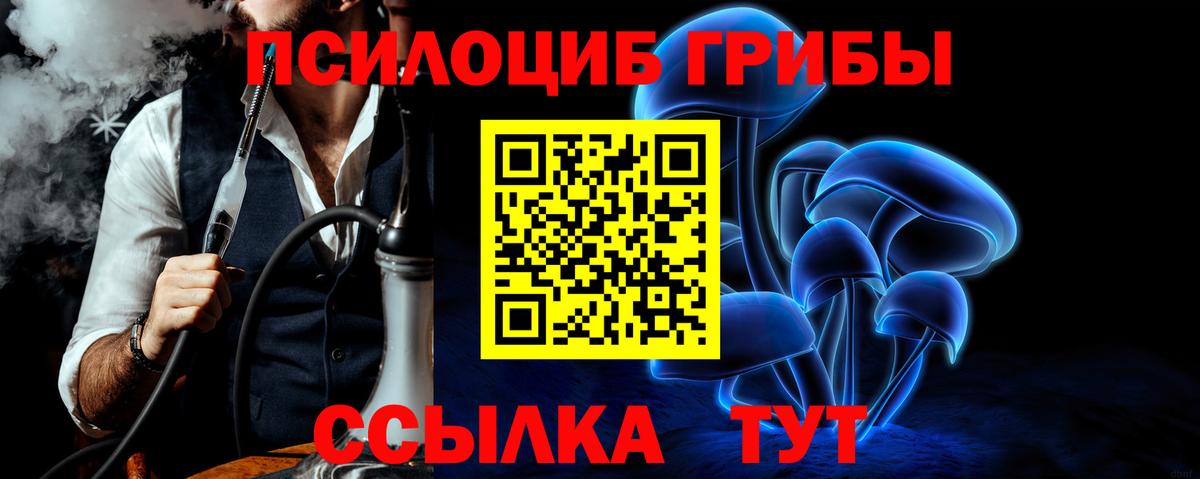 Псилоцибиновые грибы Magic Shrooms Чайковский